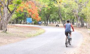 El Mirador del Este tiene un área de 6 kilómetros donde convergen las áreas verdes y el deporte.