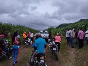 Encuentra cadáver decapitado en campo de caña en El Seibo